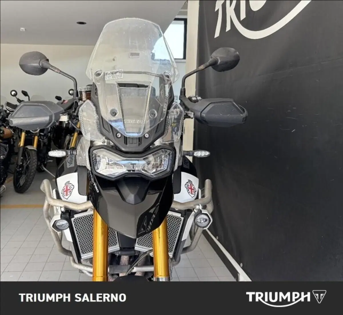 Triumph Tiger 900 Rally Pro (2020 - 23) (4)