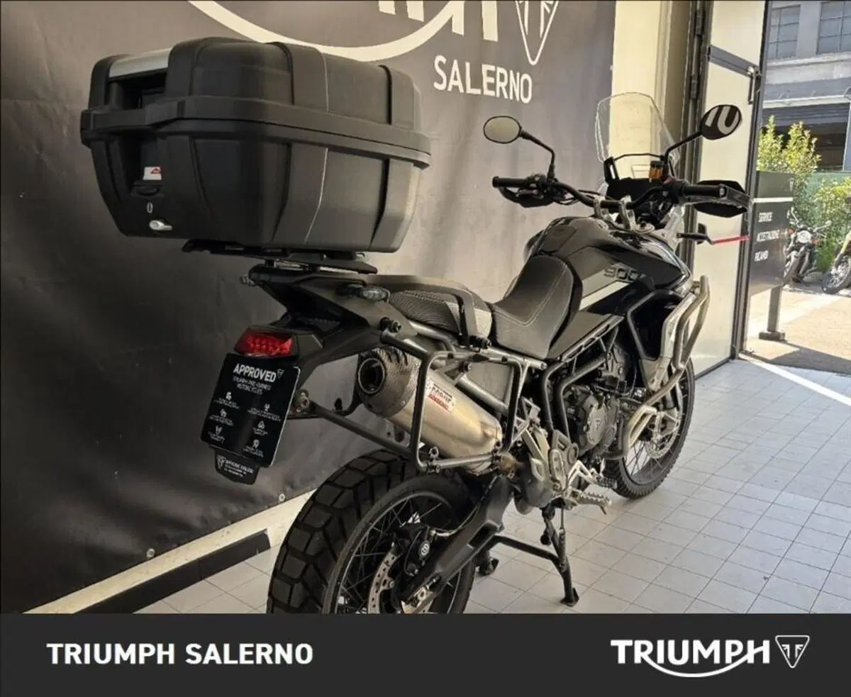 Triumph Tiger 900 Rally Pro (2020 - 23) (3)