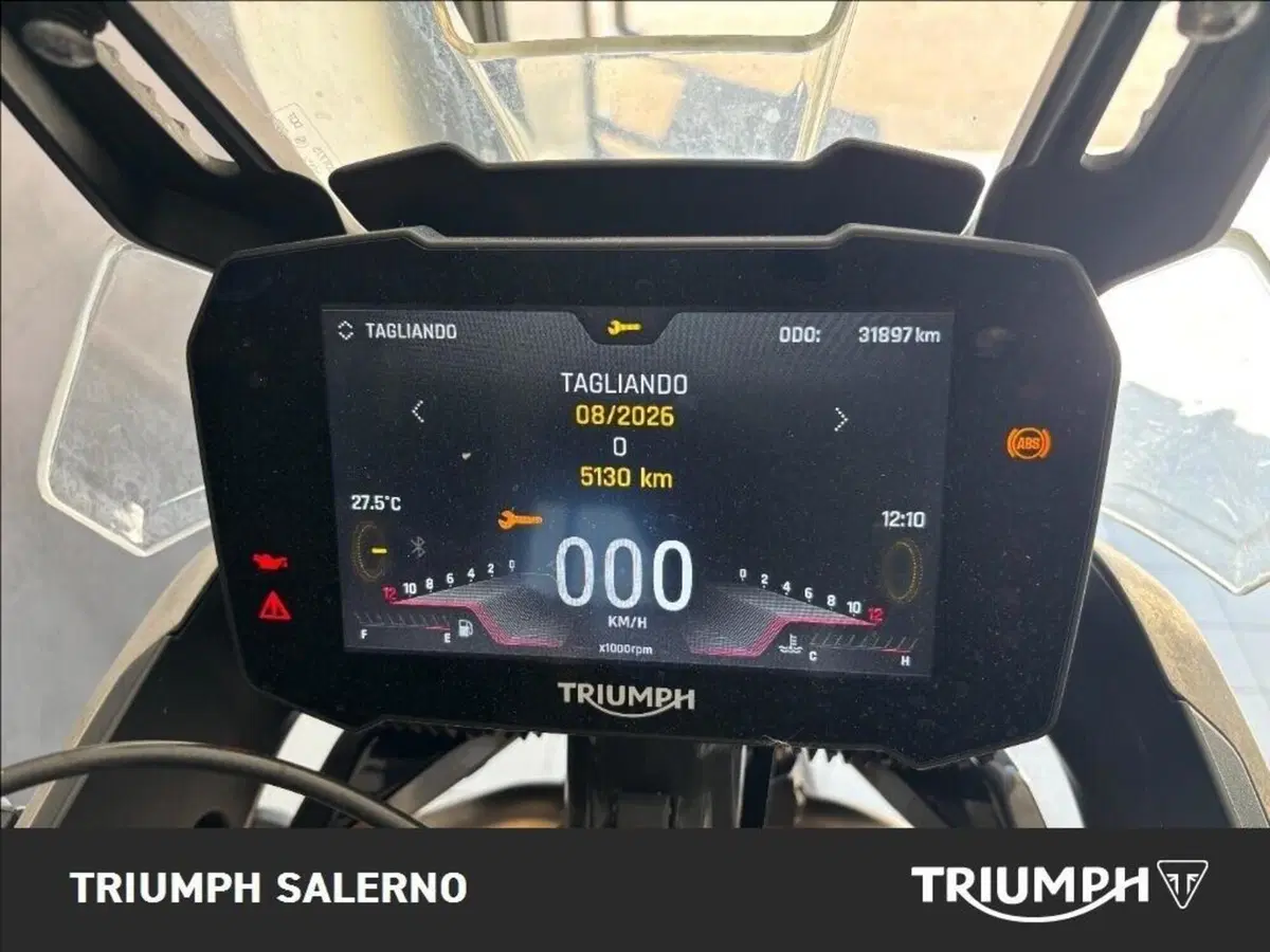 Triumph Tiger 900 Rally Pro (2020 - 23) (6)