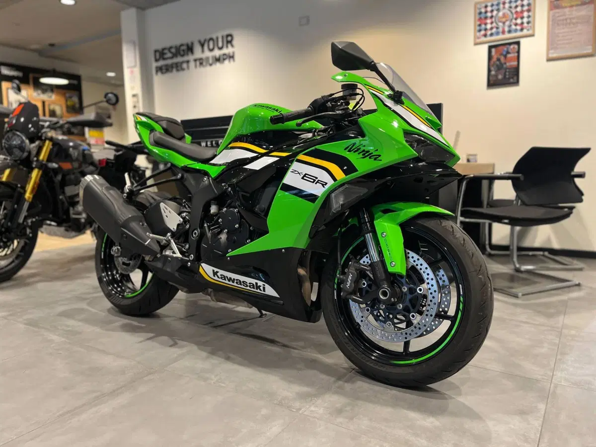 Kawasaki Ninja 636 ZX-6R (2024 - 27) (3)