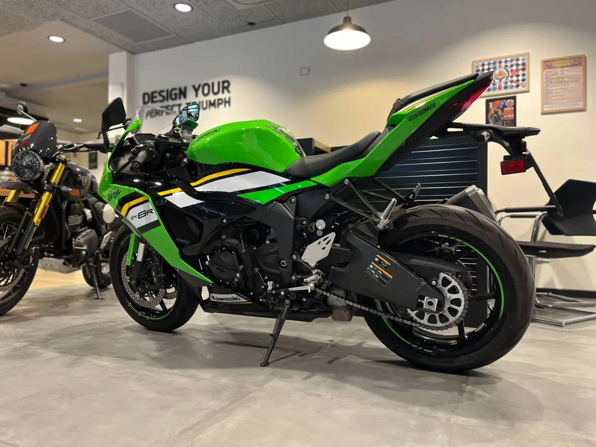 Kawasaki Ninja 636 ZX-6R (2024 - 27) (6)