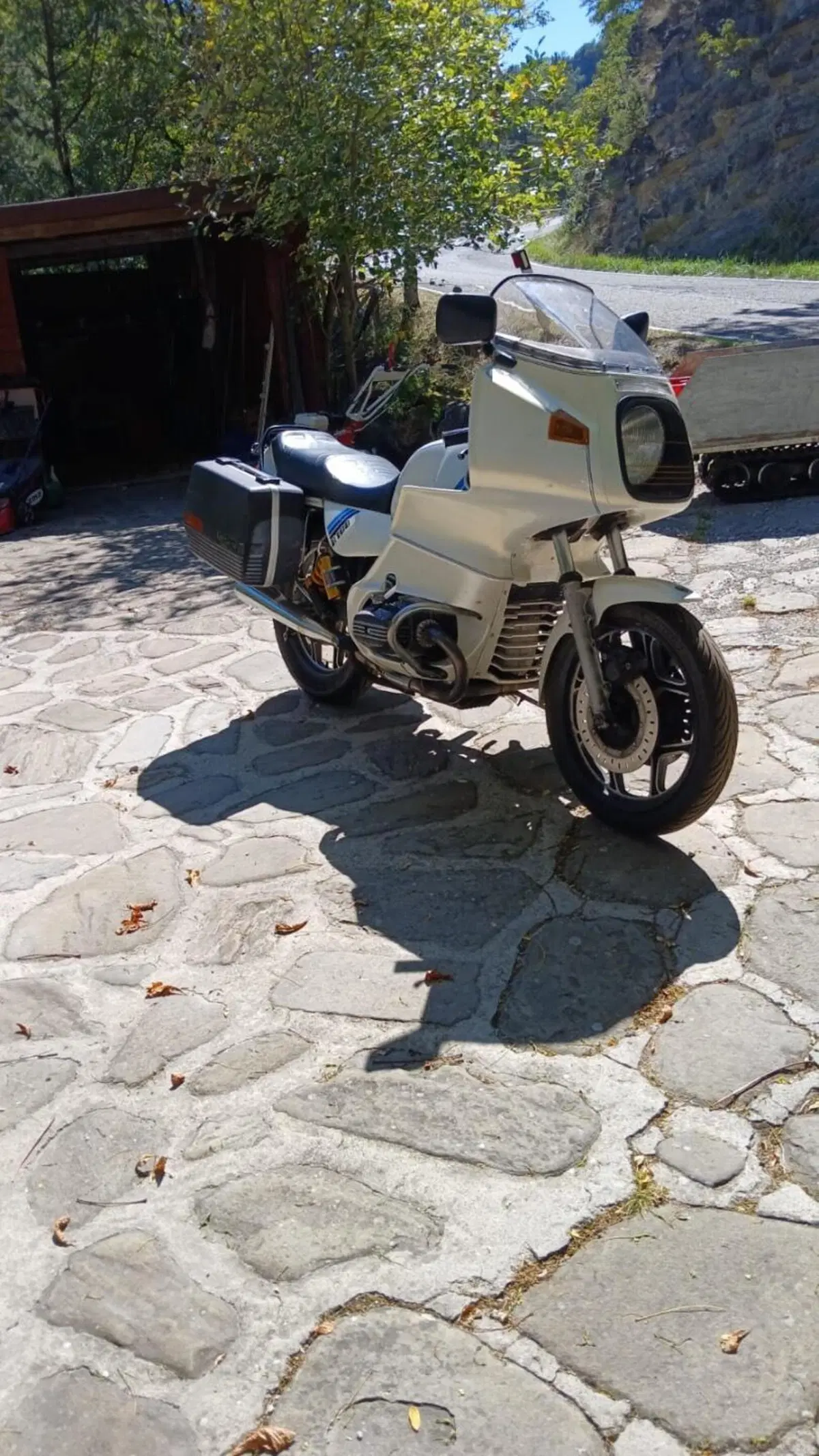 Bmw R100 RS3 (3)