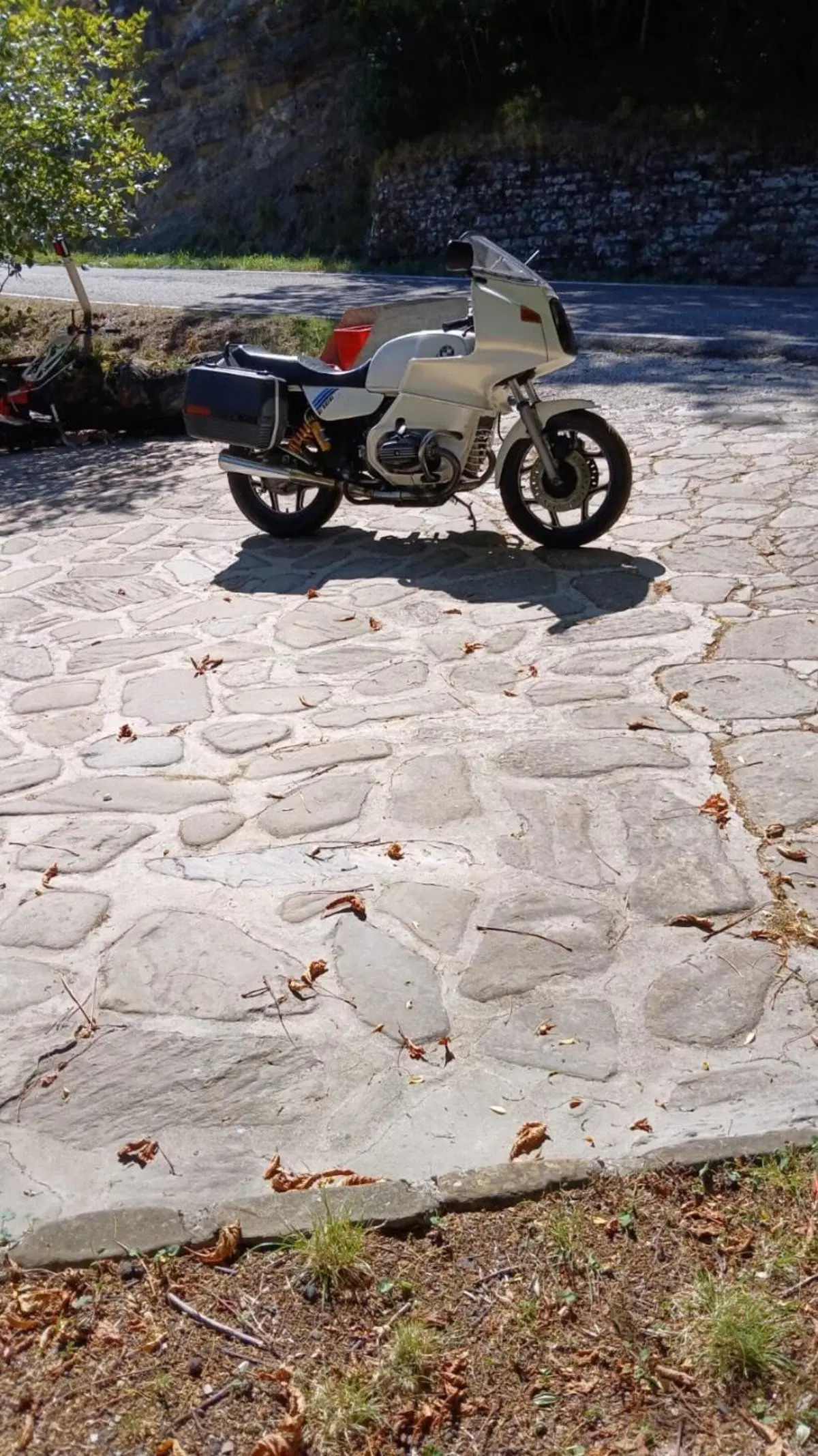 Bmw R100 RS3 (9)