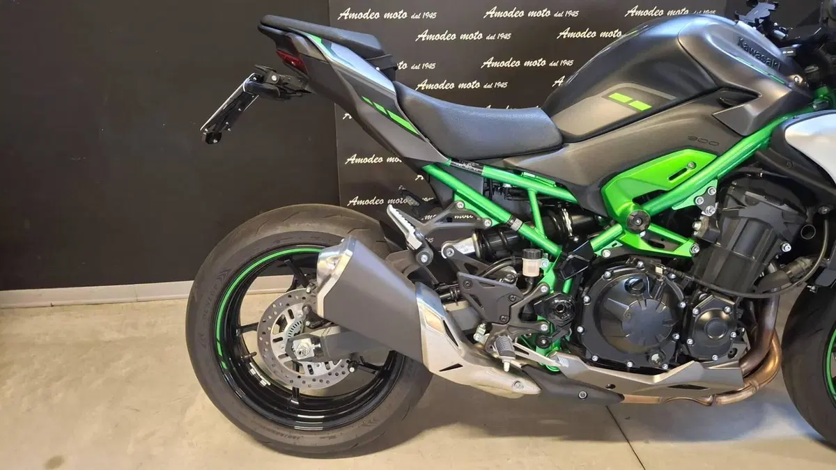Kawasaki Z 900 (2025 - 27) (3)