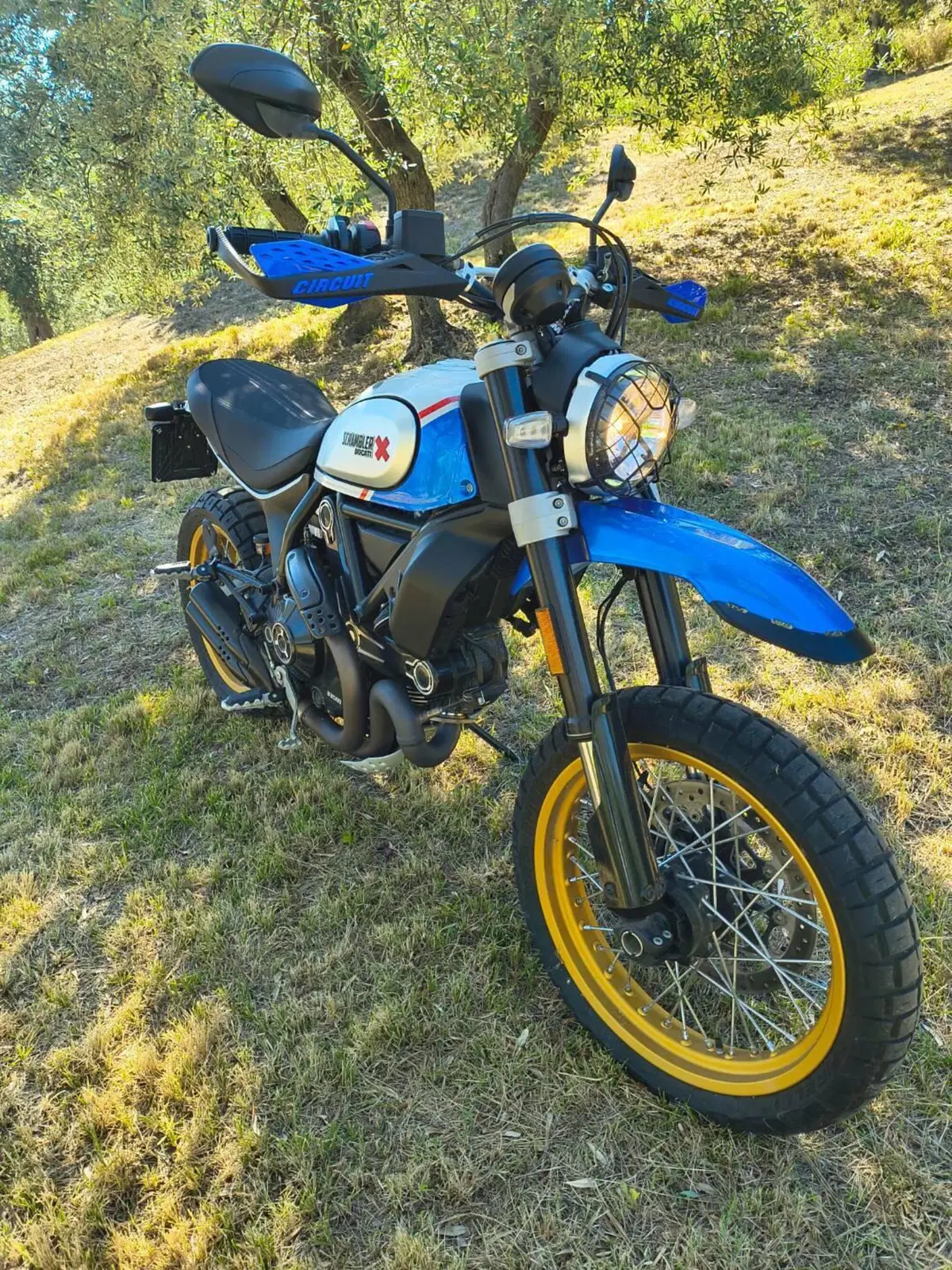 Ducati Scrambler 800 Desert Sled (2021 - 22) (3)