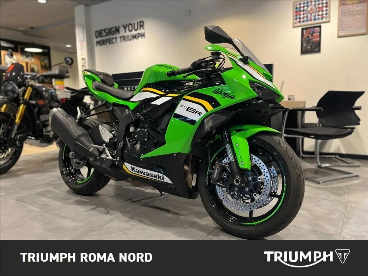 Kawasaki Ninja 636 ZX-6R (2024 - 27) (3)