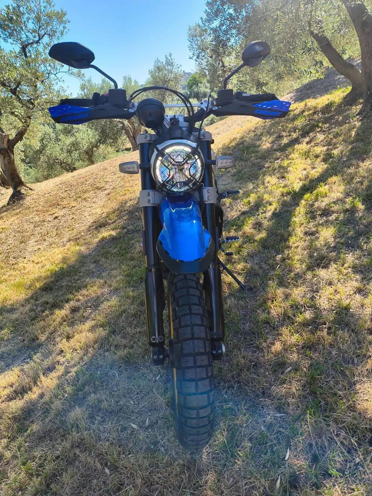 Ducati Scrambler 800 Desert Sled (2021 - 22) (4)