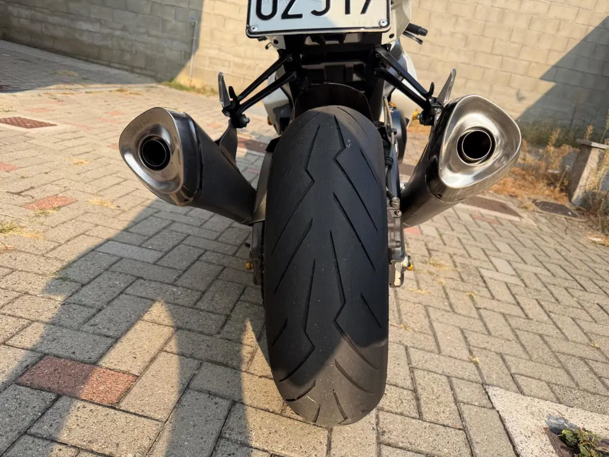 Suzuki GSX-R1000 (2009 - 11) (4)