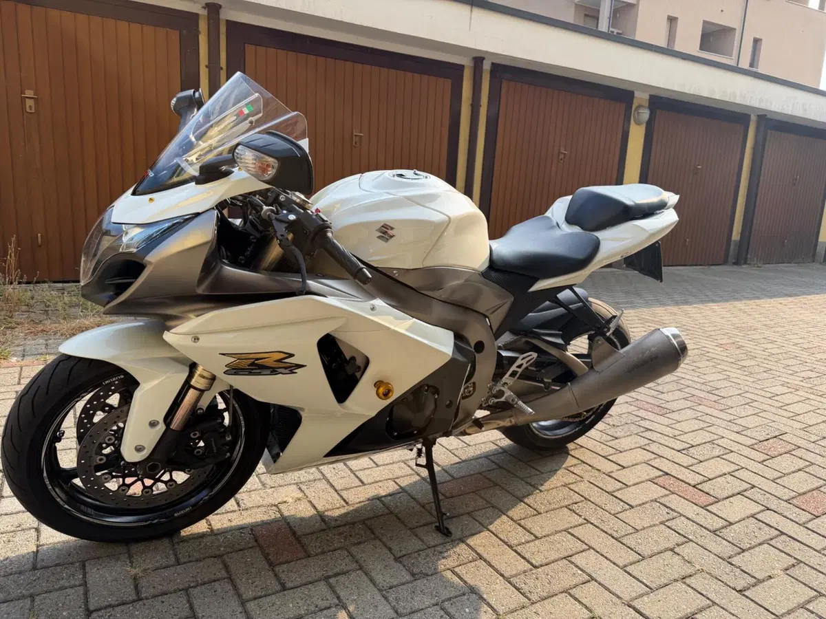 Suzuki GSX-R1000 (2009 - 11) (6)