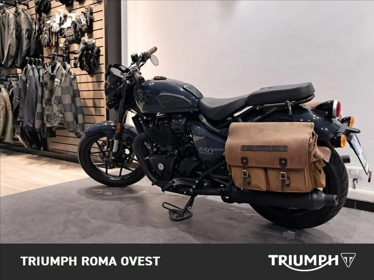 Royal Enfield Shotgun 650 (2024 - 26) (14)