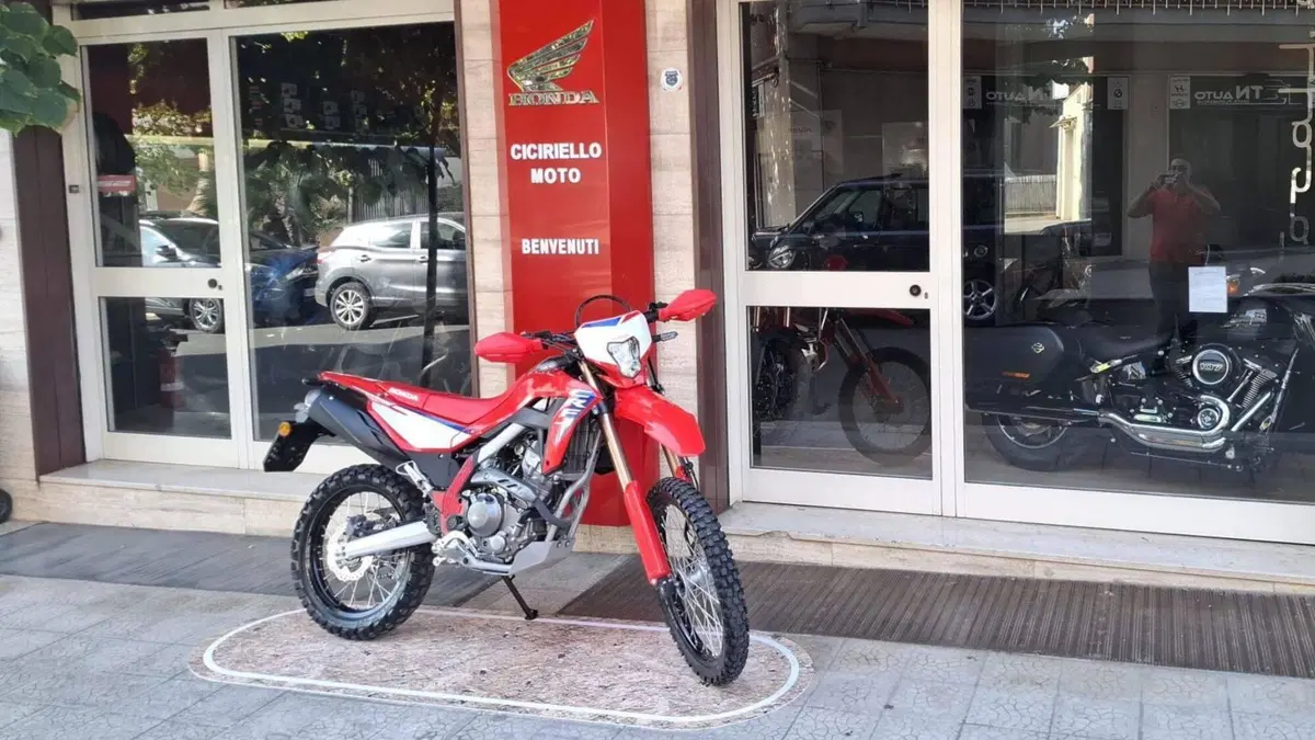 Honda CRF 300L (2025 - 26) (8)