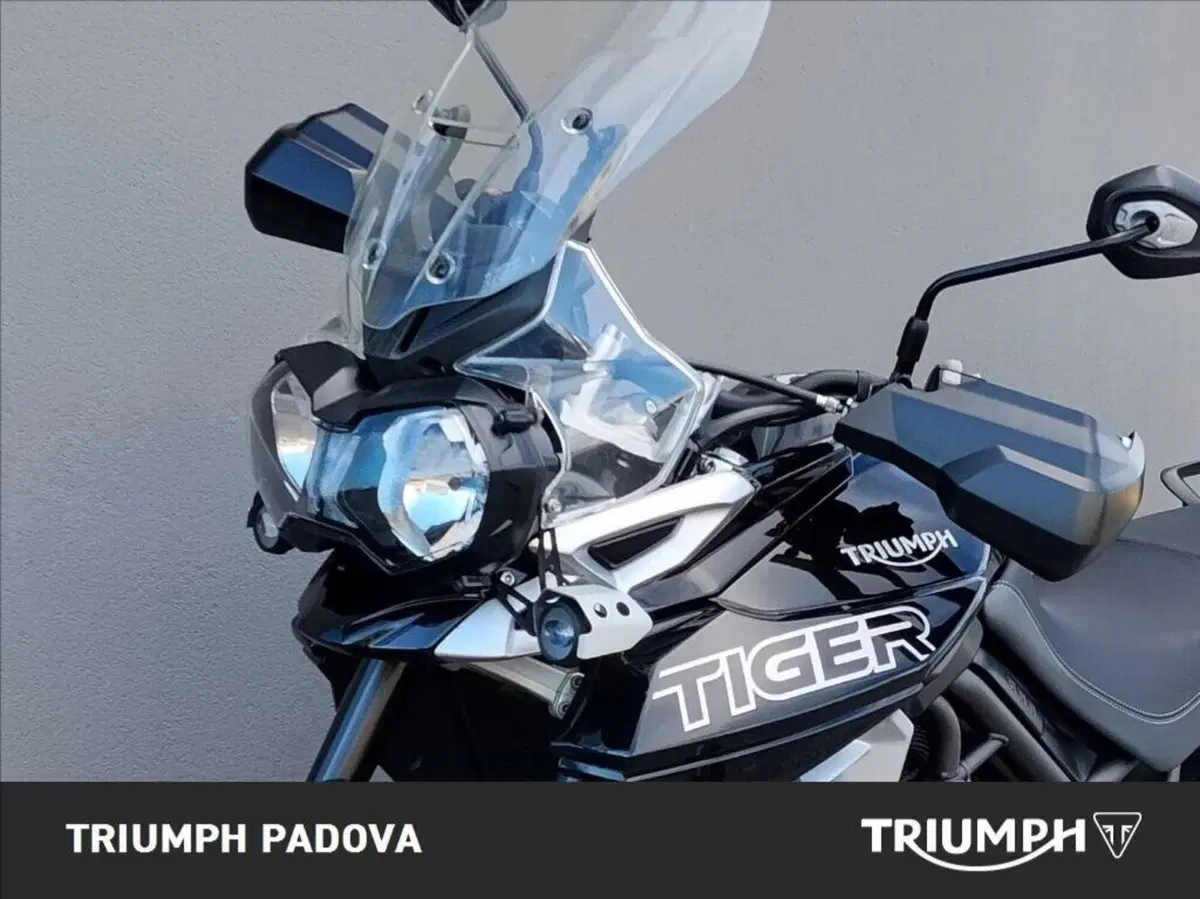 Triumph Tiger 800 XRx (2018 - 20) (10)