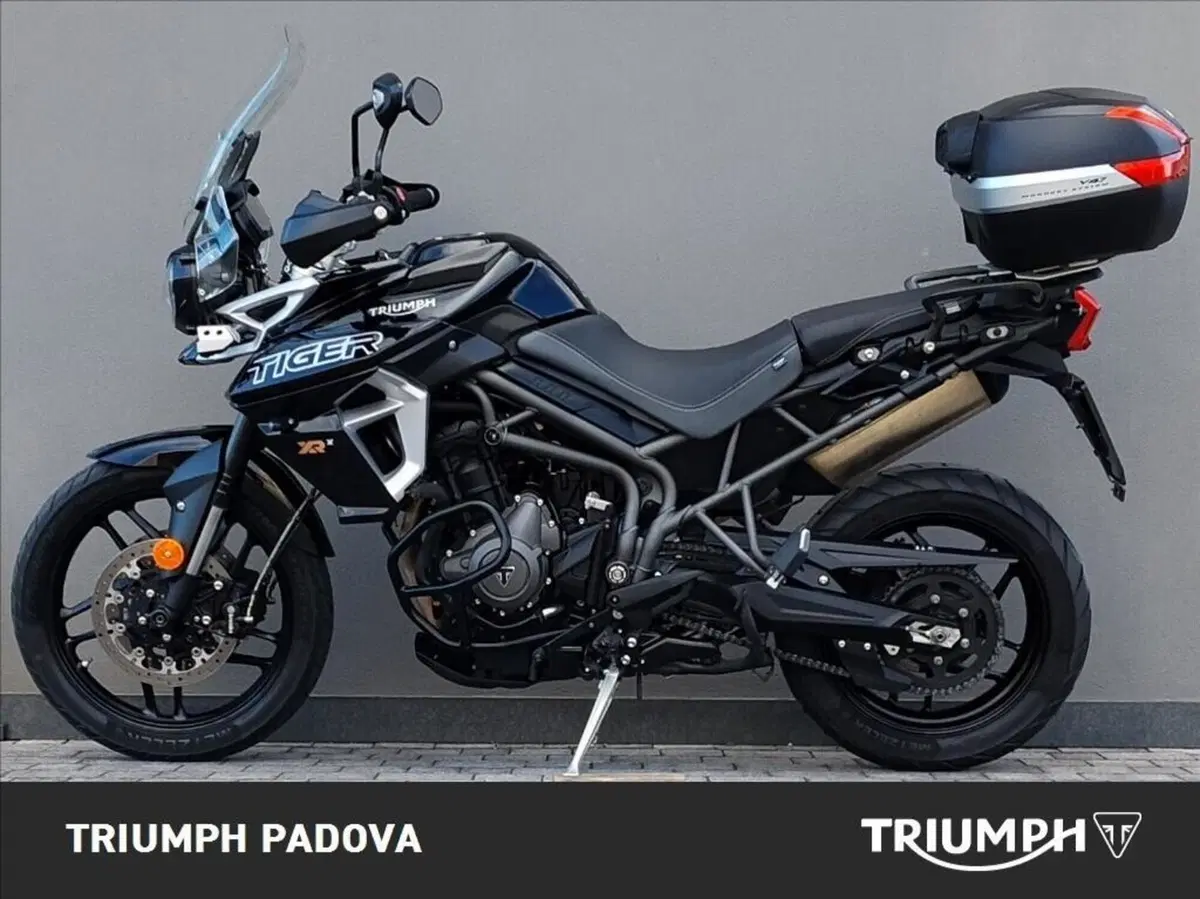 Triumph Tiger 800 XRx (2018 - 20) (6)