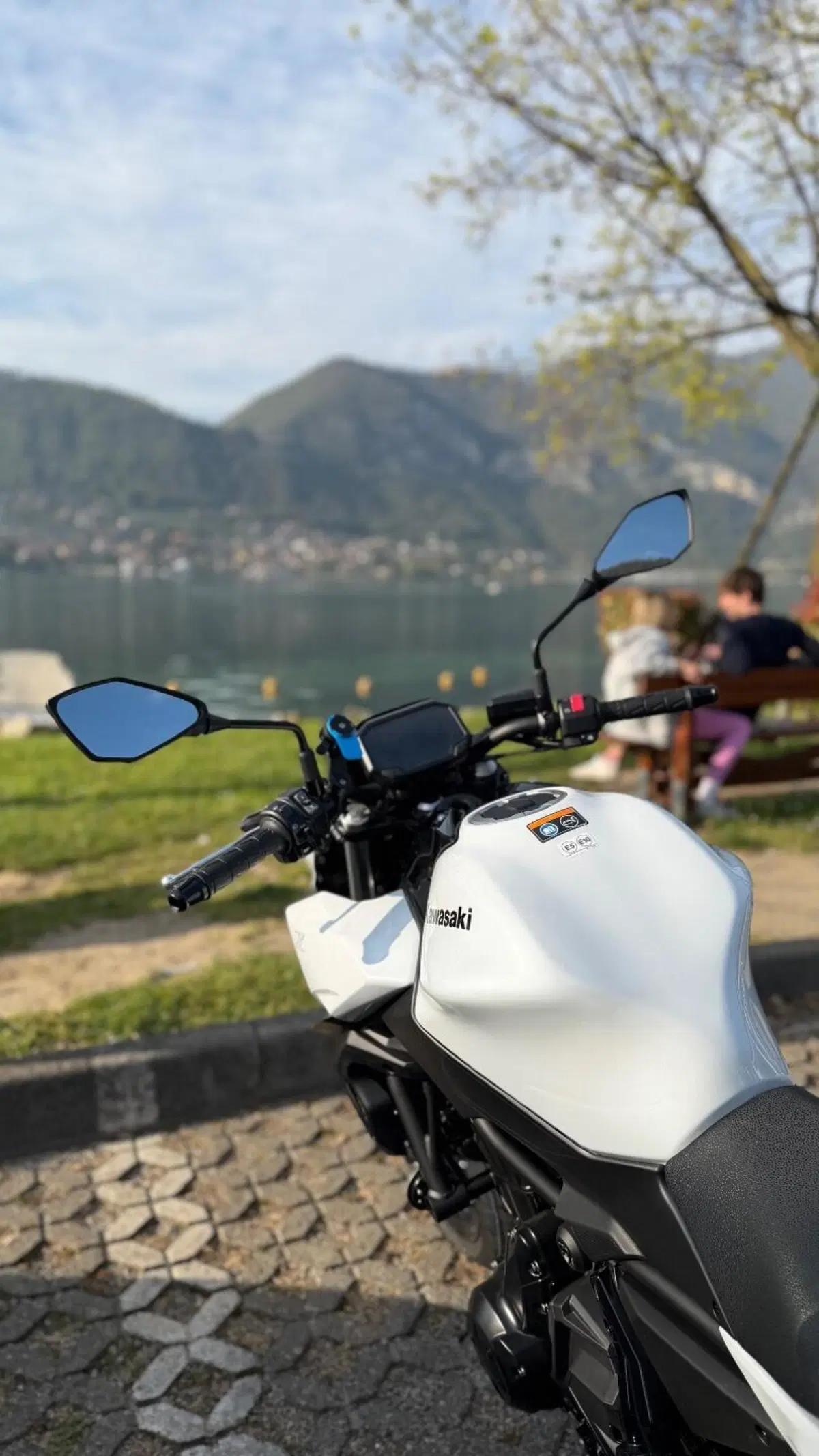 Kawasaki Z 650 (2025 - 27) (3)