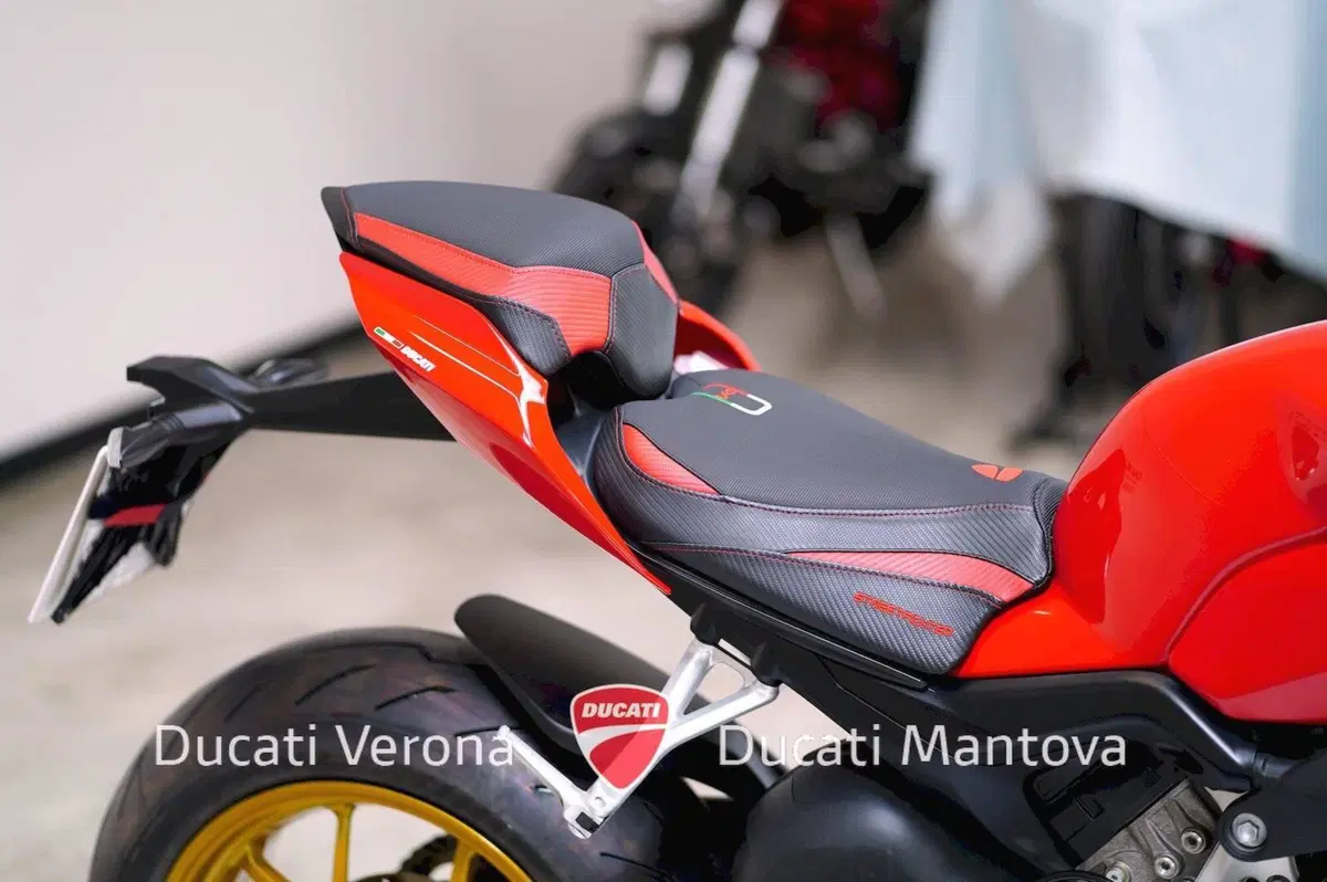 Ducati Streetfighter V4 1100 (2021 - 22) (11)