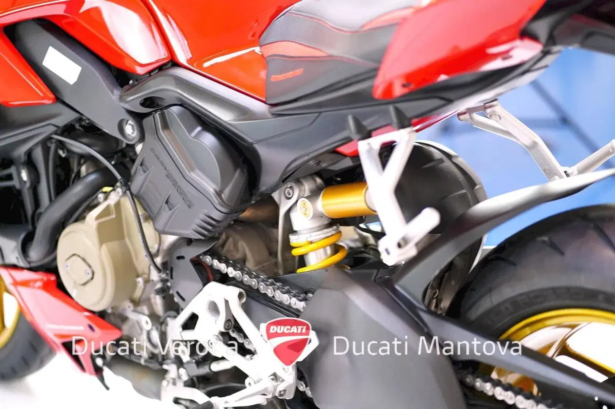 Ducati Streetfighter V4 1100 (2021 - 22) (12)