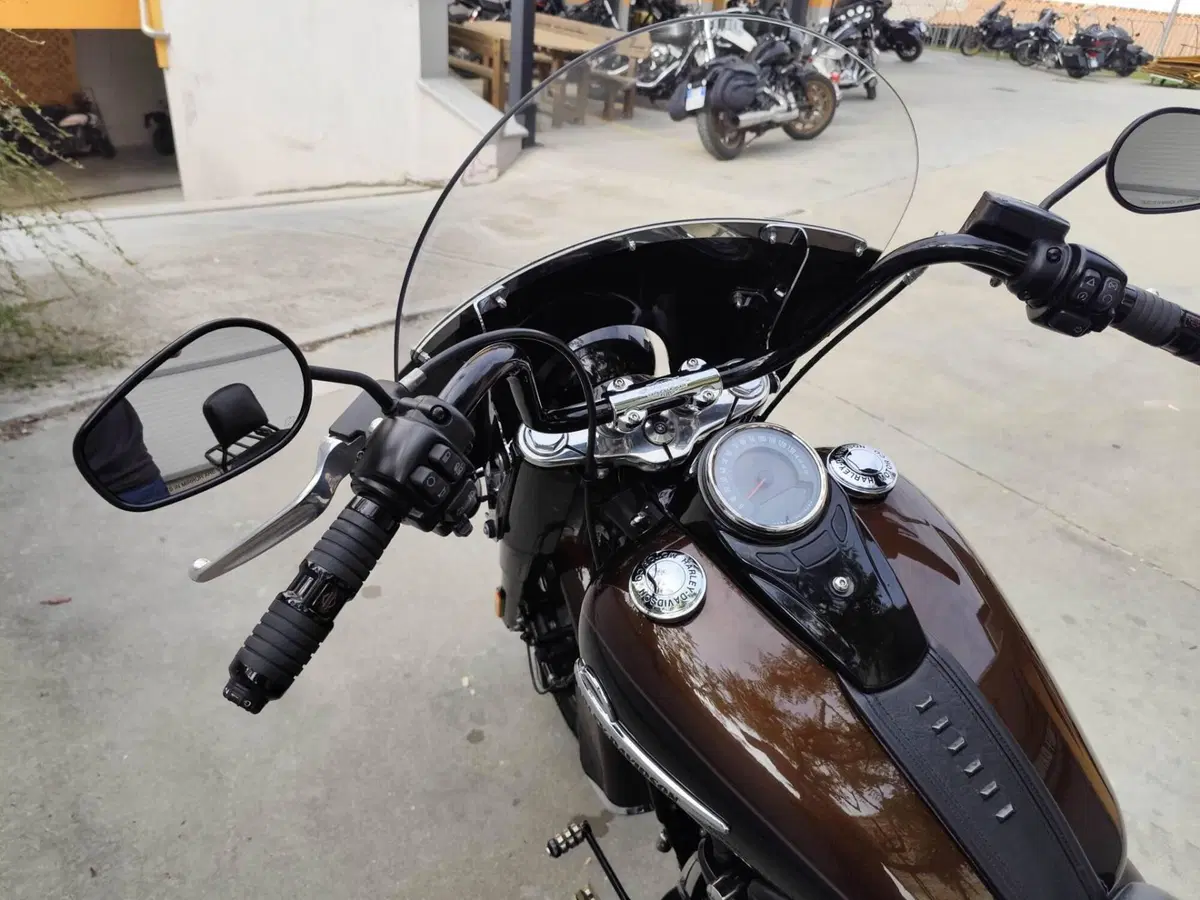 Harley-Davidson 114 Heritage Classic (2018 - 20) - FLHCS (9)