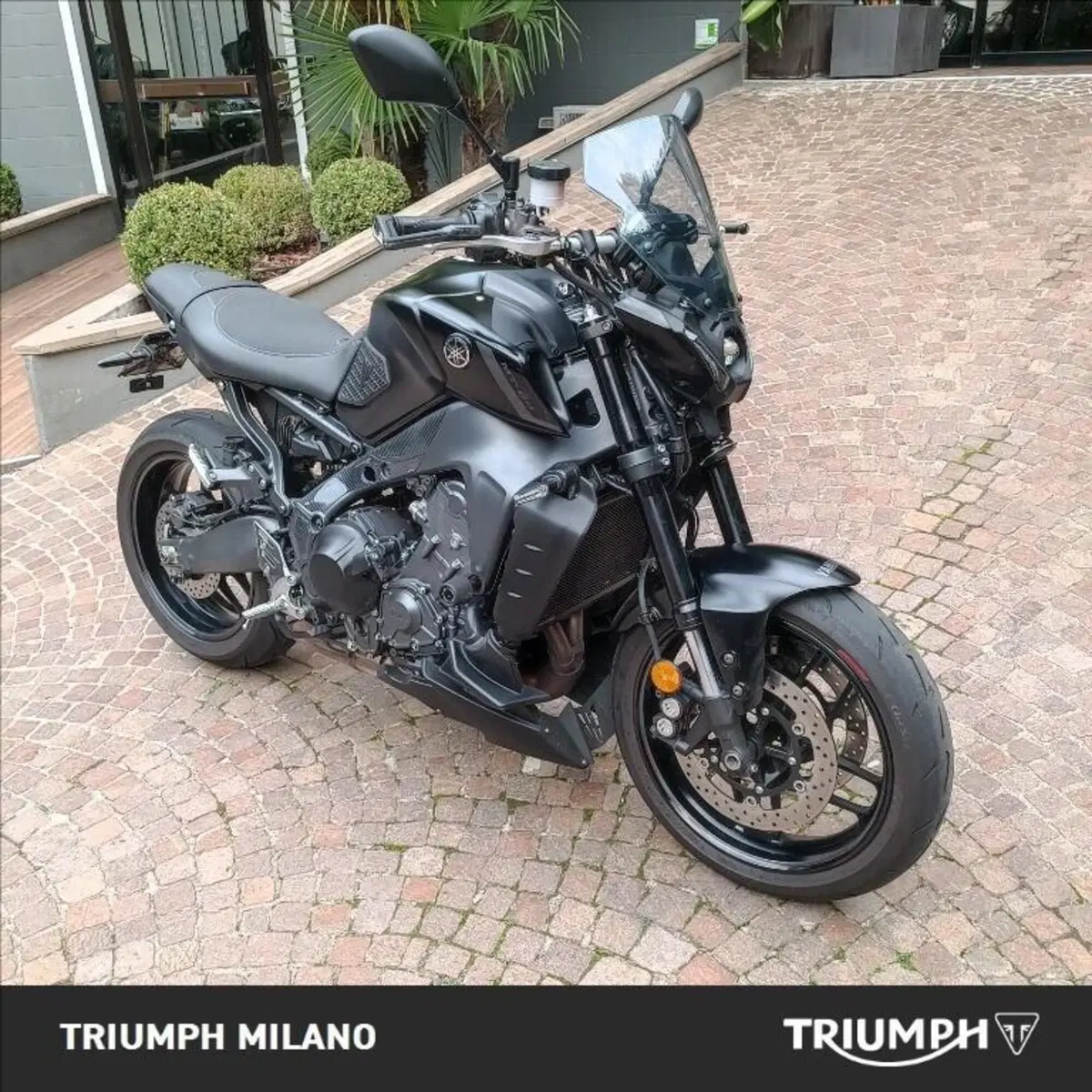 Yamaha MT-09 (2021 - 23) (5)