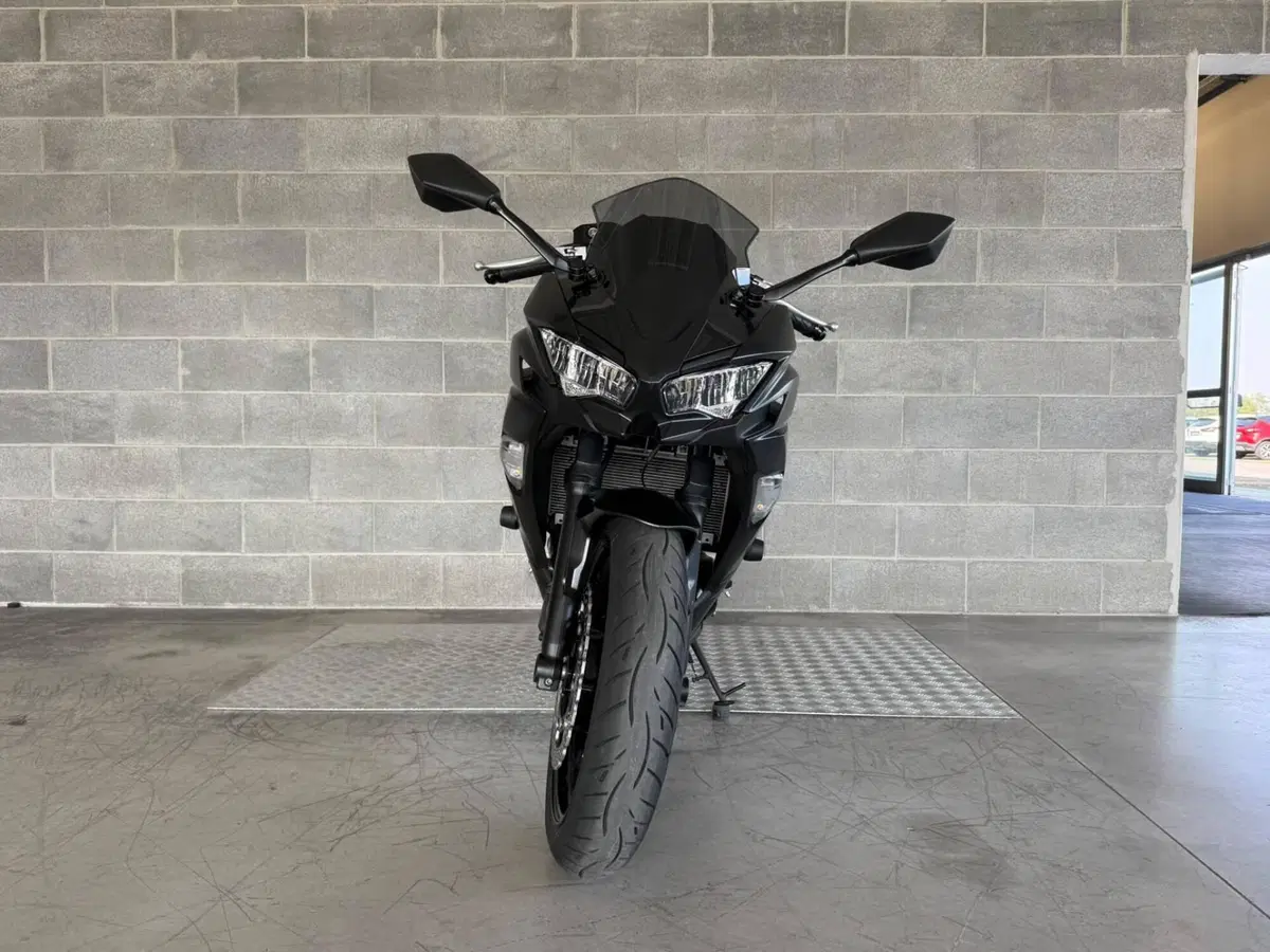 Kawasaki Ninja 650 (2025 - 26) (4)