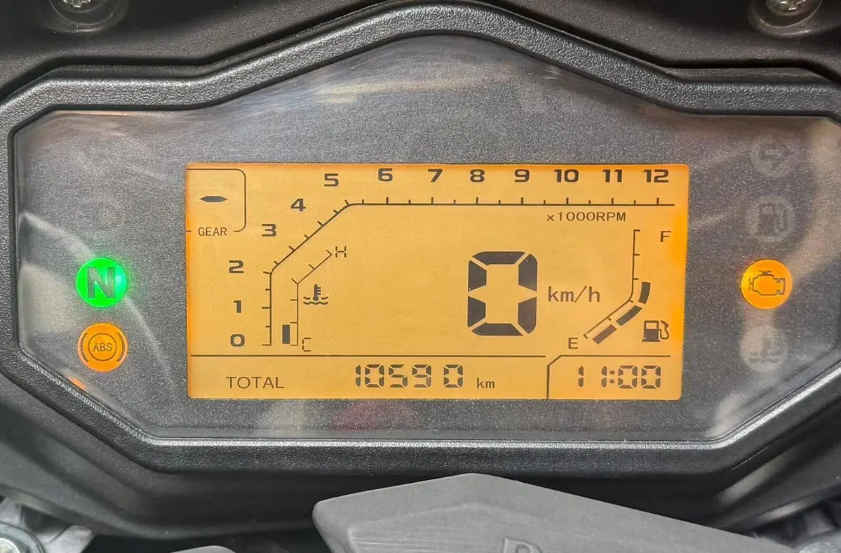 Benelli TRK 251 (2019 - 20) (5)