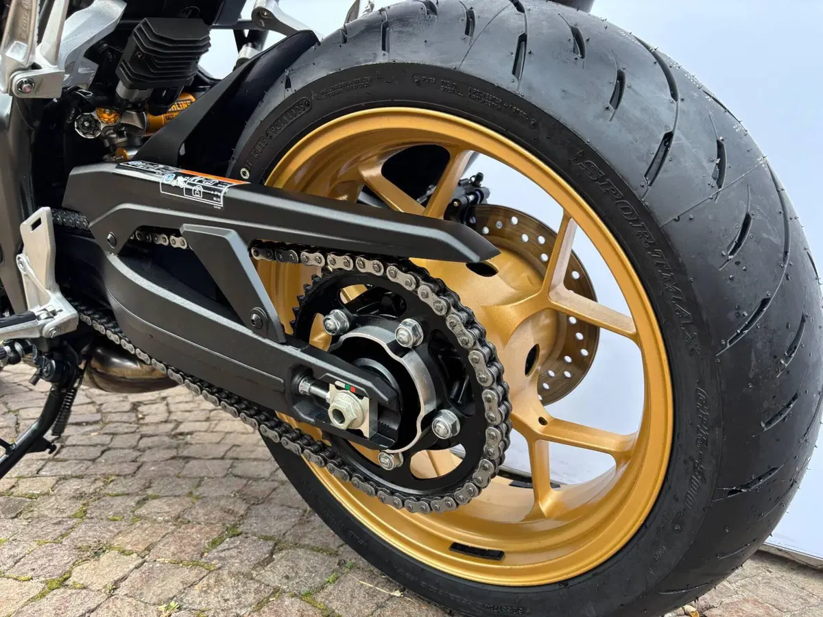 Honda CB 1000 Hornet SP (2025 - 26) (4)