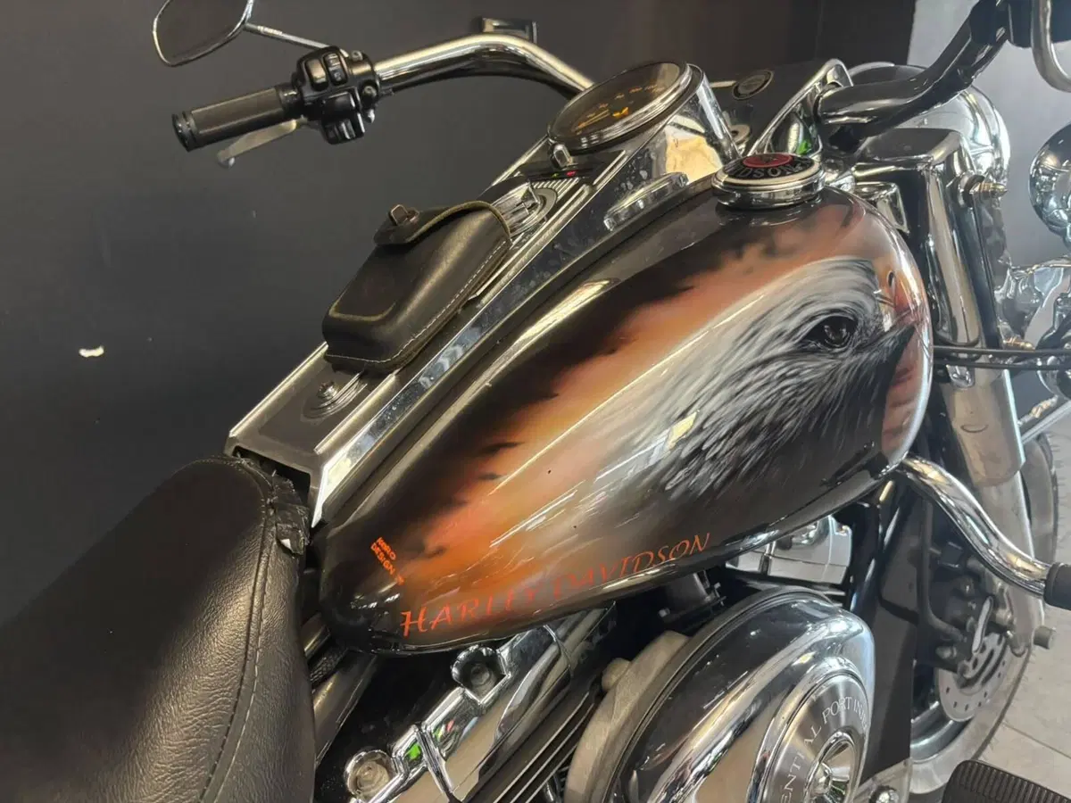 Harley-Davidson 1450 Road King Classic (1999 - 02) - FLHRCI (3)
