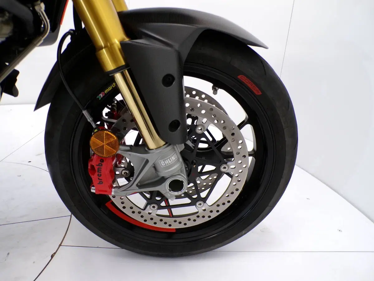 Ducati Multistrada V4 RS (2024 - 25) (12)
