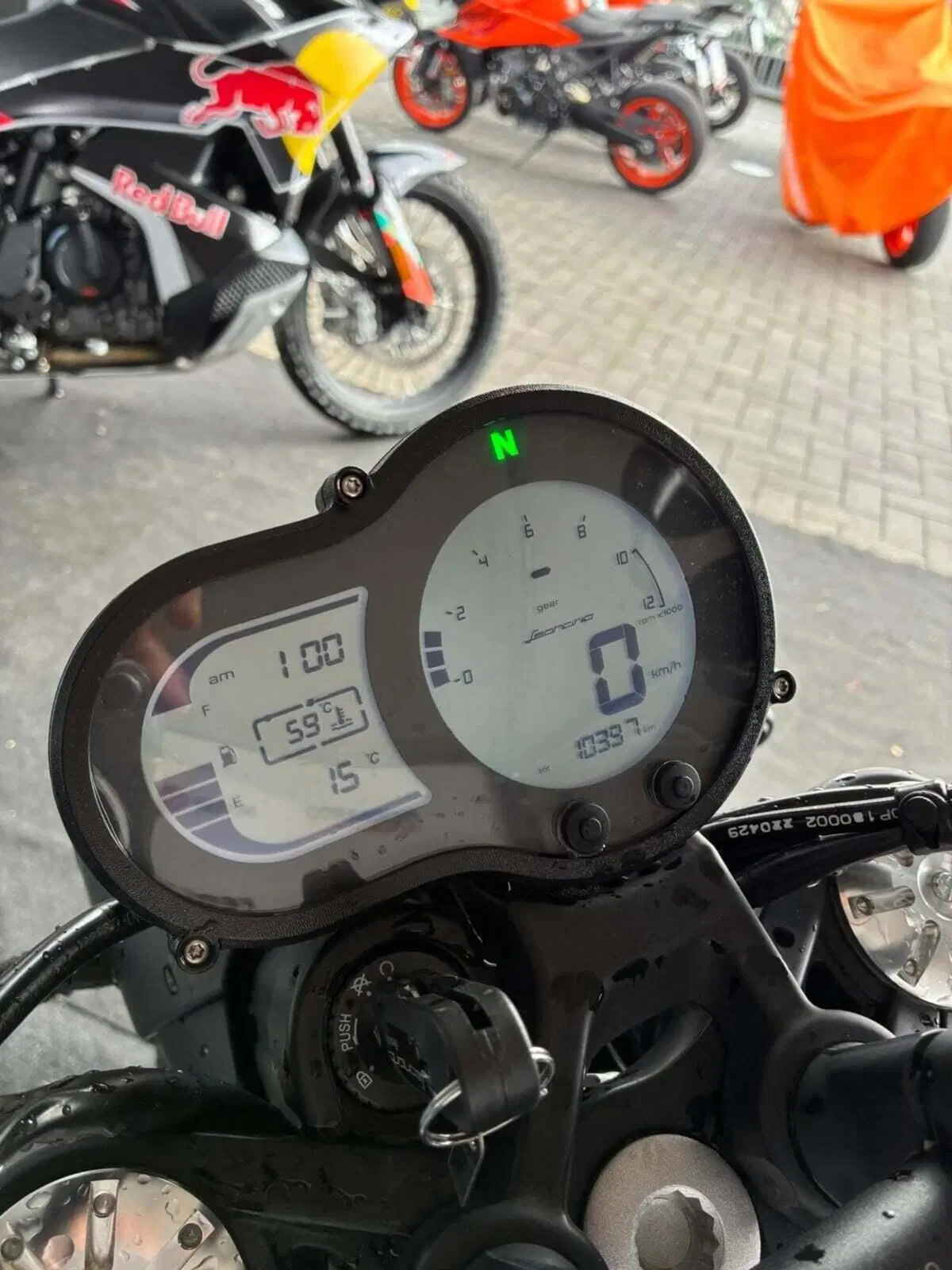 Benelli Leoncino 500 Trail (2021 - 26) (5)