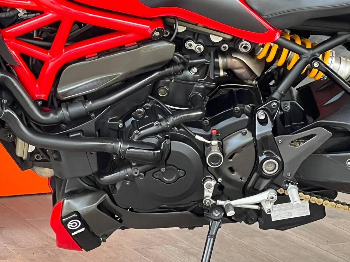 Ducati Monster 1200 R (2016 - 19) (9)
