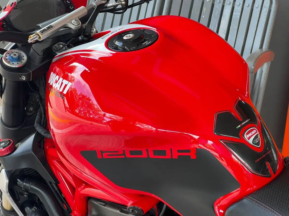 Ducati Monster 1200 R (2016 - 19) (12)