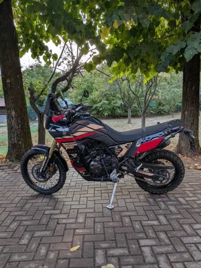 Yamaha Ténéré 700 (2019 - 20) usata