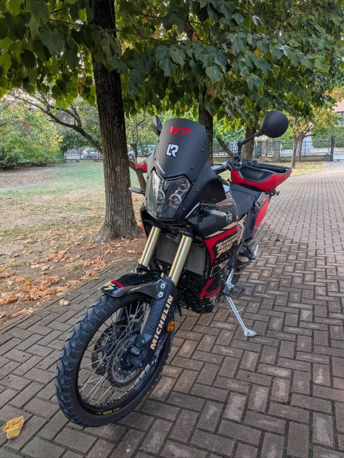 Yamaha Ténéré 700 (2019 - 20) (2)
