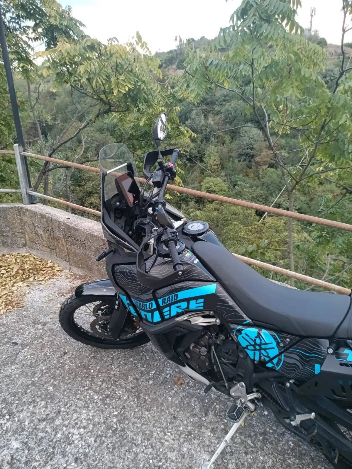Yamaha Ténéré 700 World Raid (2022 - 25) (8)