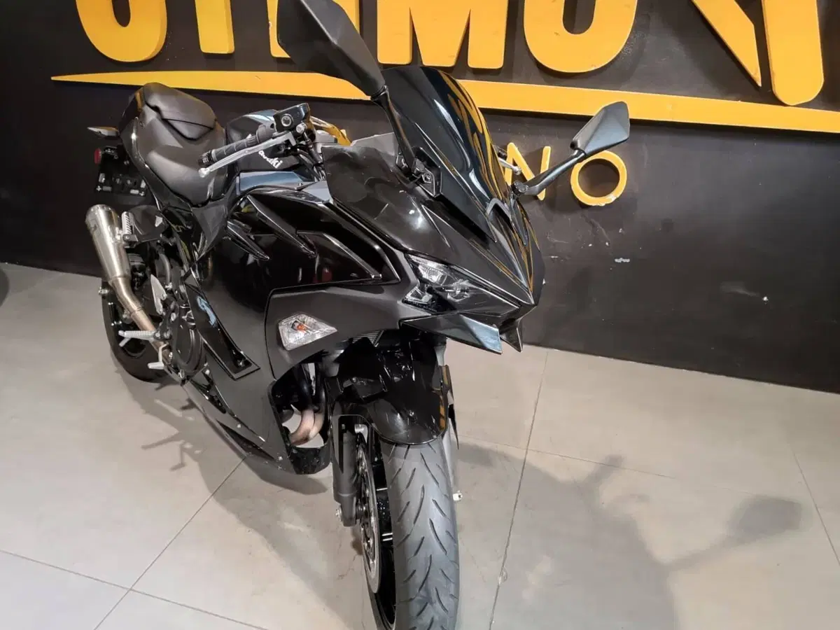 Kawasaki Ninja 500 (2024 - 27) (2)