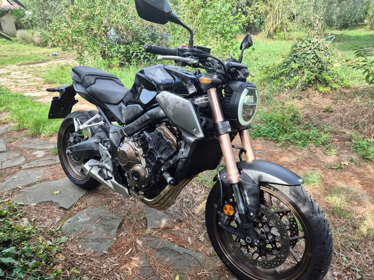 Honda CB 650 R (2019 - 20) (2)