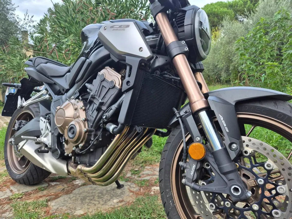Honda CB 650 R (2019 - 20) (3)