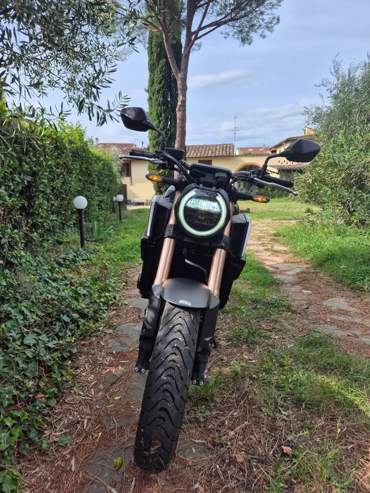 Honda CB 650 R (2019 - 20) (7)