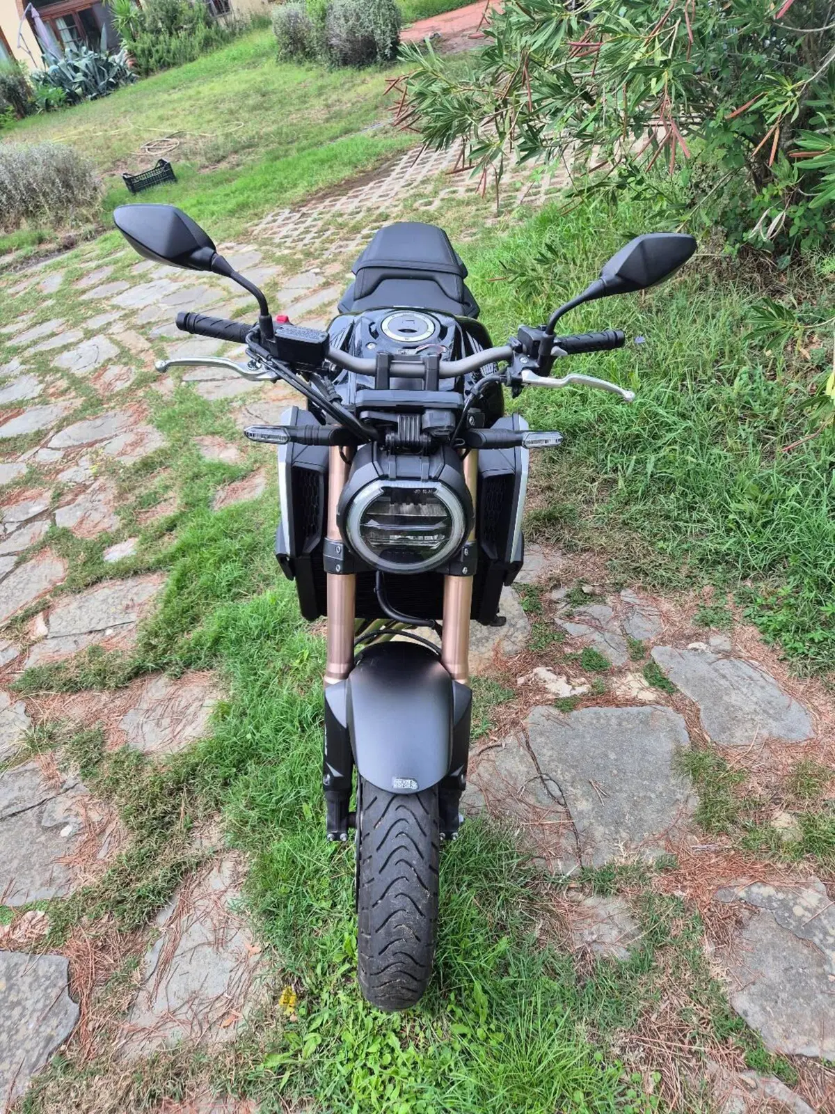 Honda CB 650 R (2019 - 20) (8)