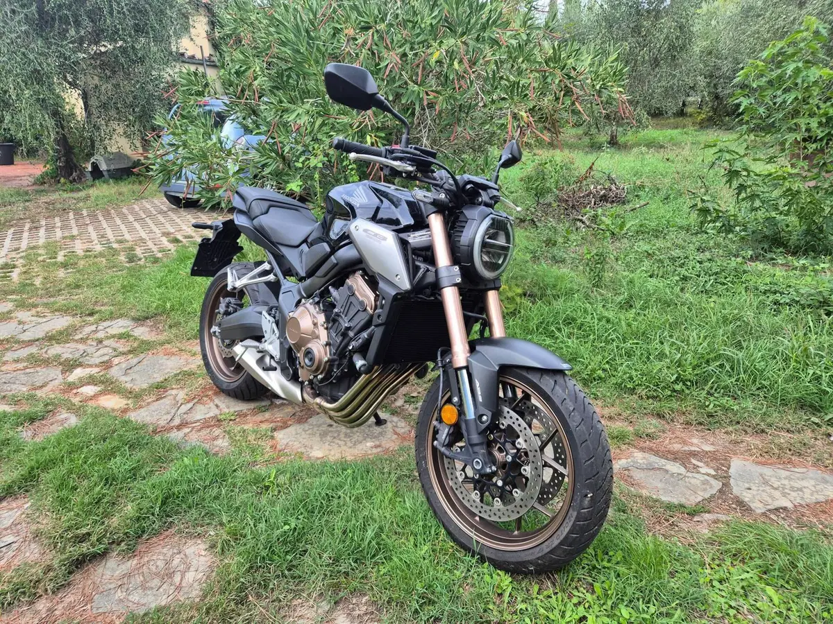 Honda CB 650 R (2019 - 20) (5)