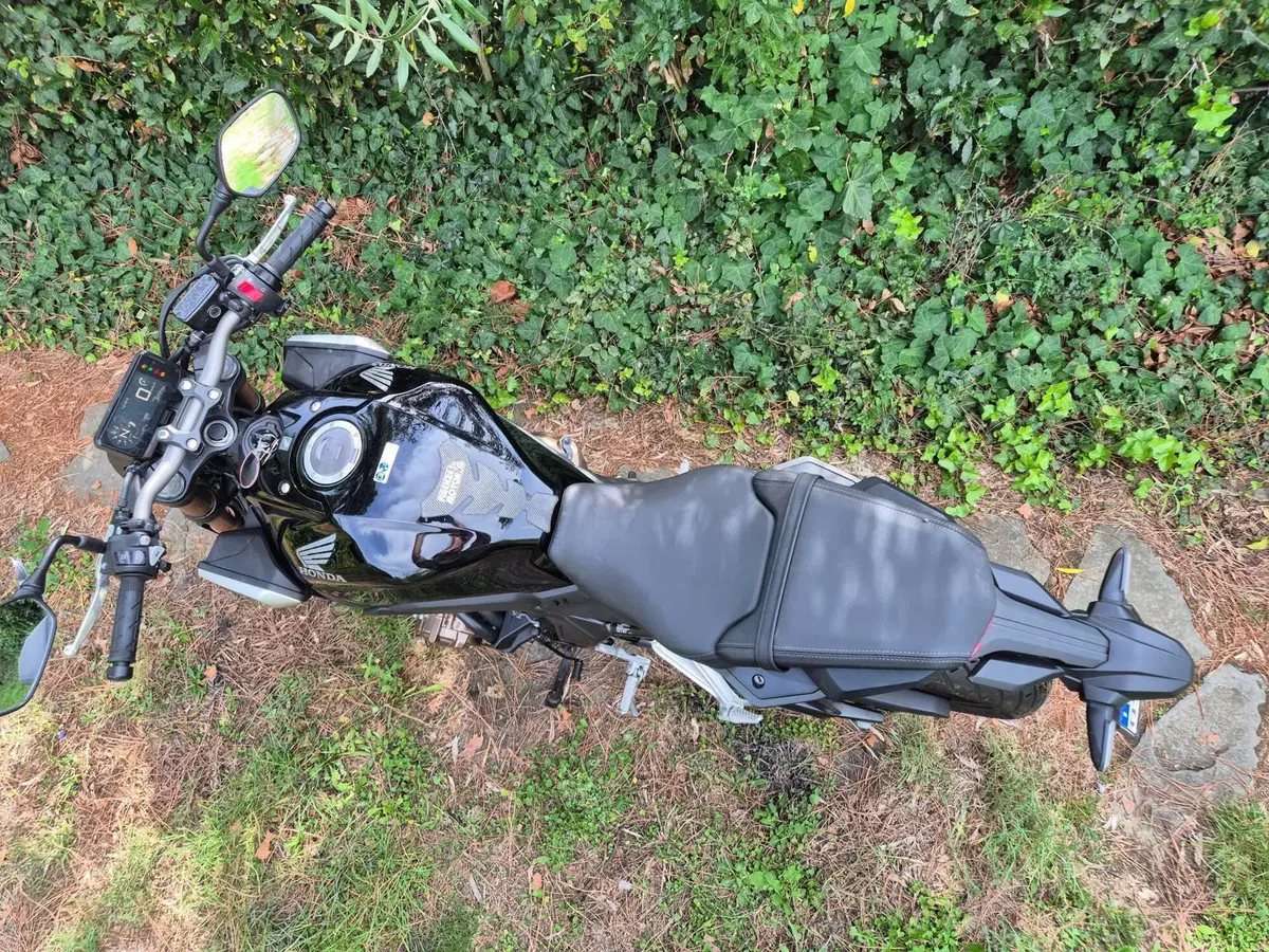 Honda CB 650 R (2019 - 20) (9)