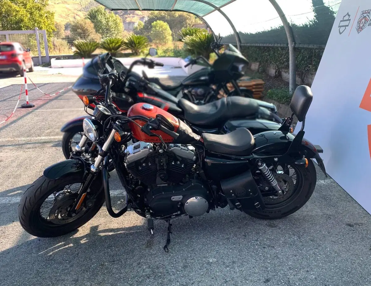Harley-Davidson 1200 Forty-Eight (2010 - 15) (9)