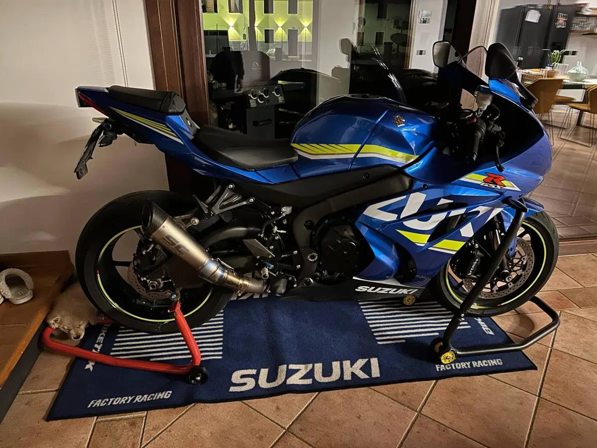Suzuki GSX-R1000 (2017 - 18) (5)
