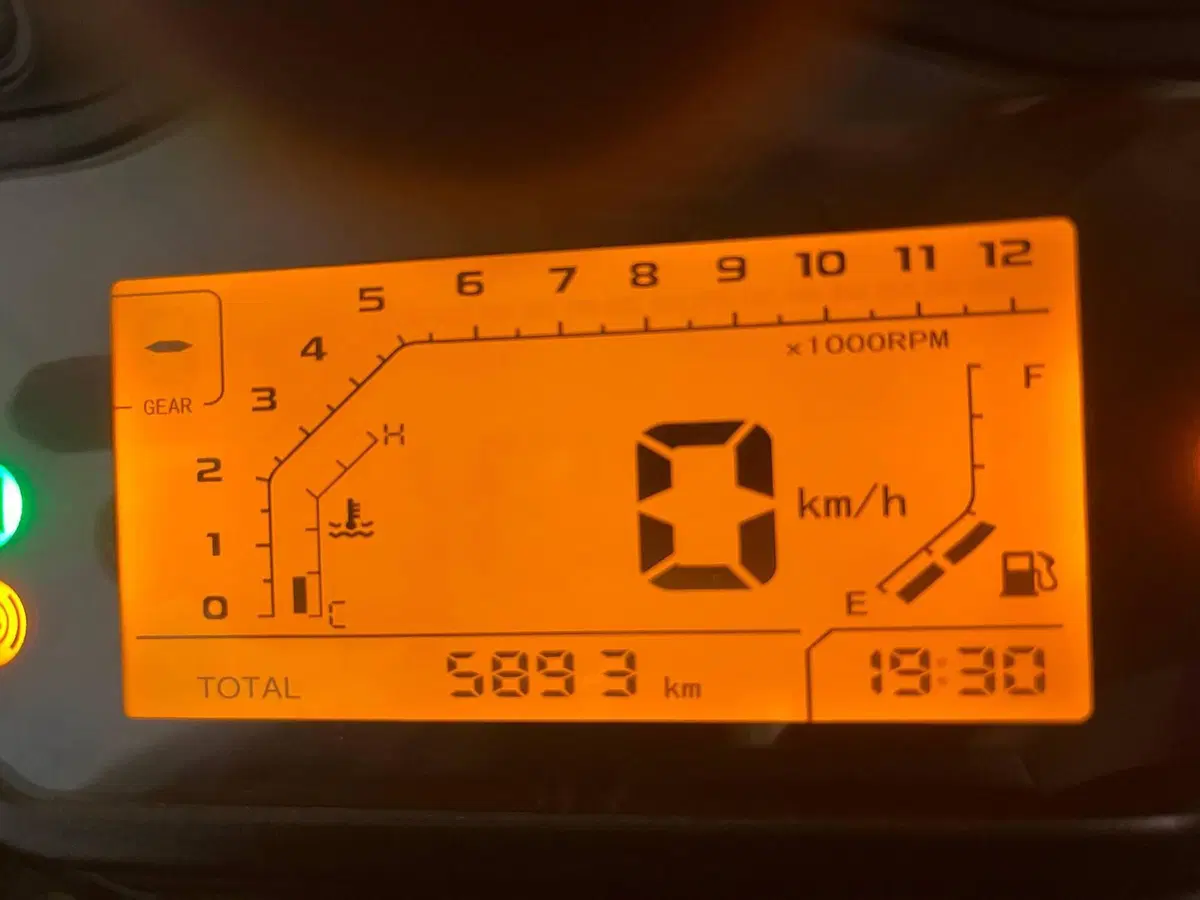 Benelli TRK 251 (2019 - 20) (6)