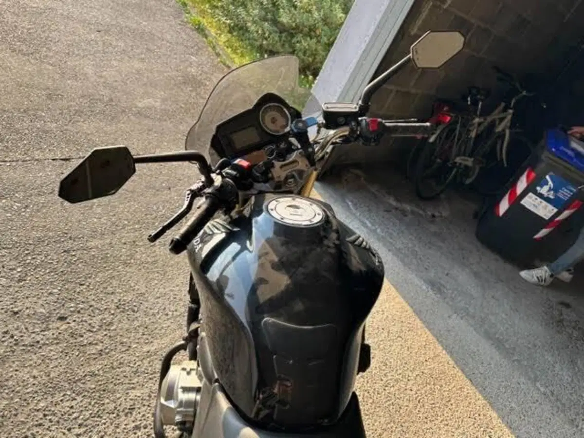Honda Hornet 600 (2003 - 04) (8)