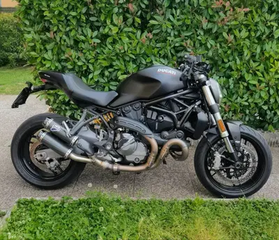 Ducati Monster 821 (2018 - 20) usata