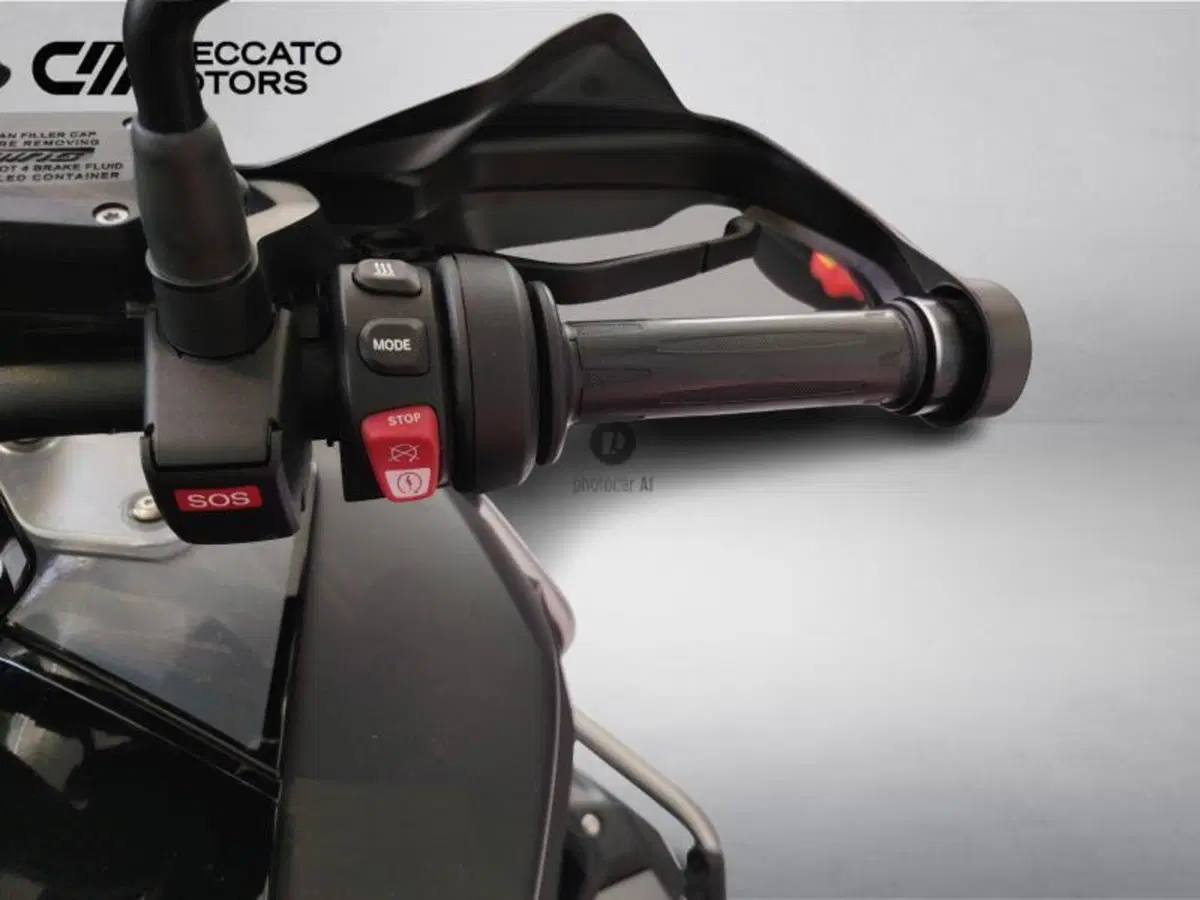 Bmw R 1250 GS Adventure (2021 - 24) (11)