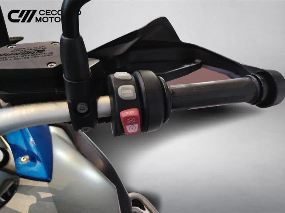 Bmw R 1200 GS (2017 - 18) (9)