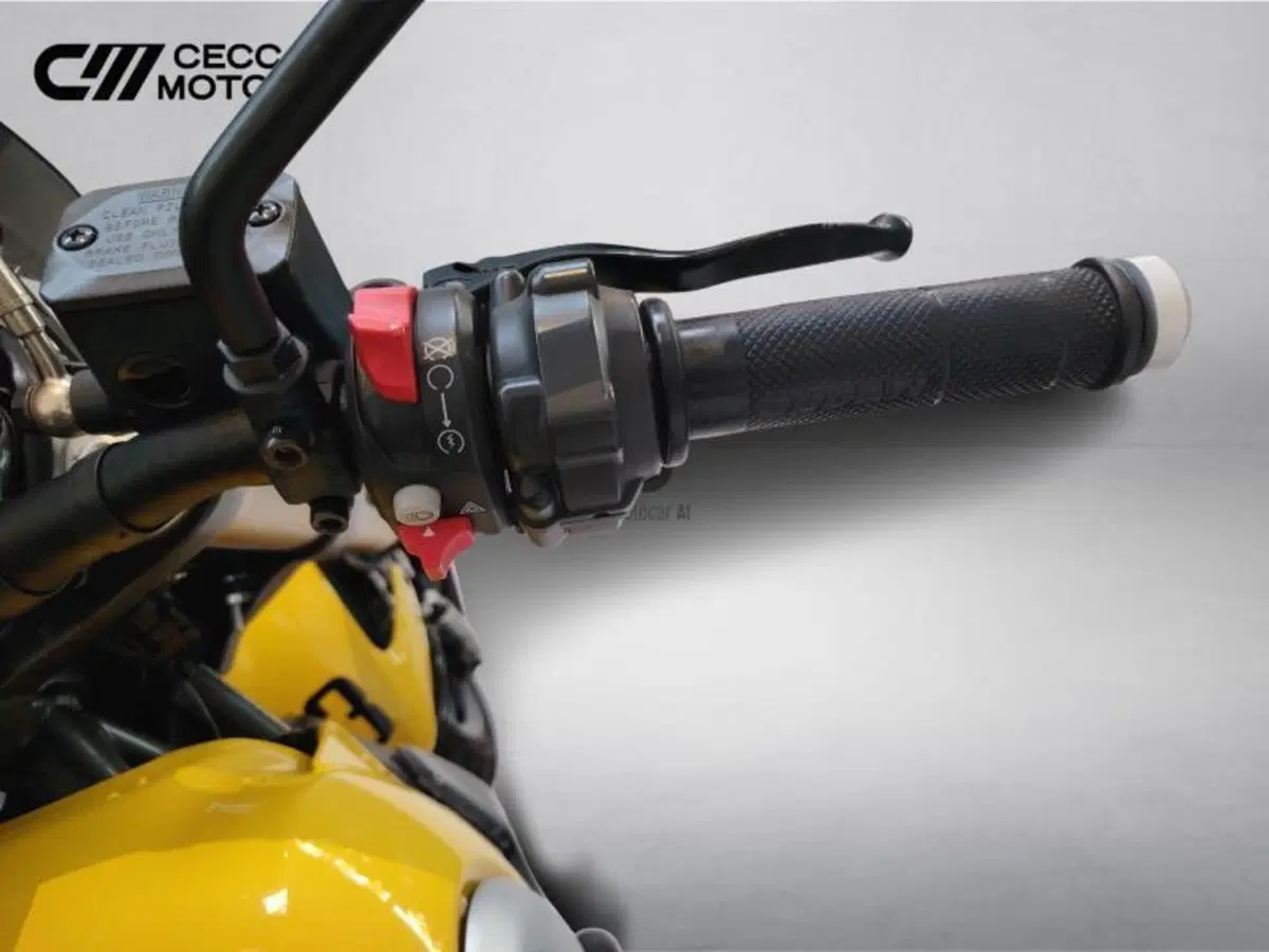 Ducati Scrambler 1100 Sport (2018 - 20) (10)