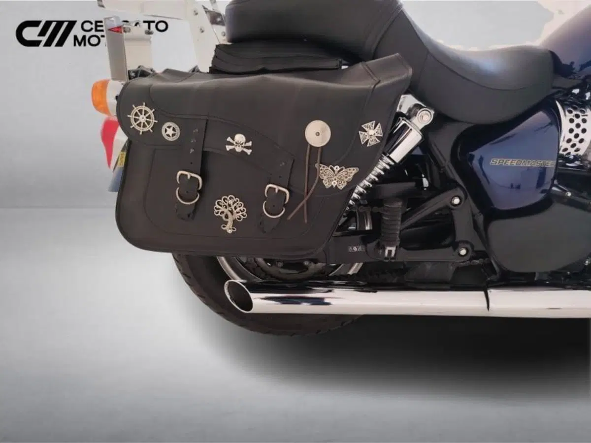 Triumph Speedmaster 865 (2005 - 10) (15)