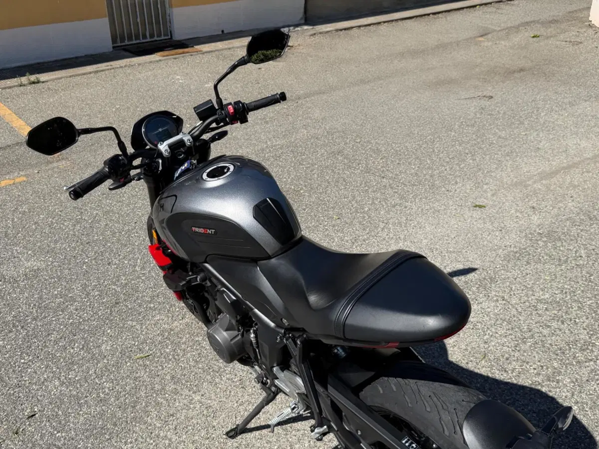 Triumph Trident 660 (2021 - 24) (9)